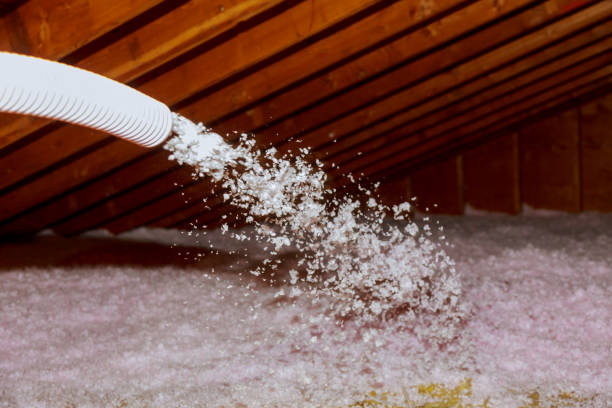 Types of Insulation We Offer in Clifton Heights, PA