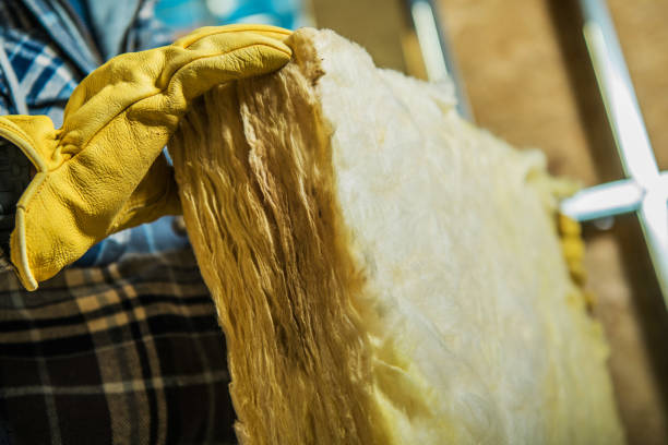 Best Cellulose Insulation in Clifton Heights, PA